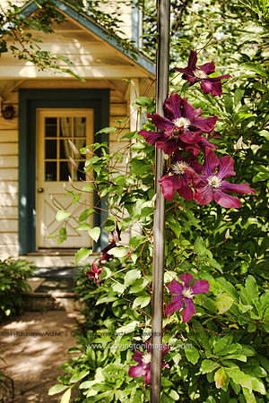 Woodstock Hideaway